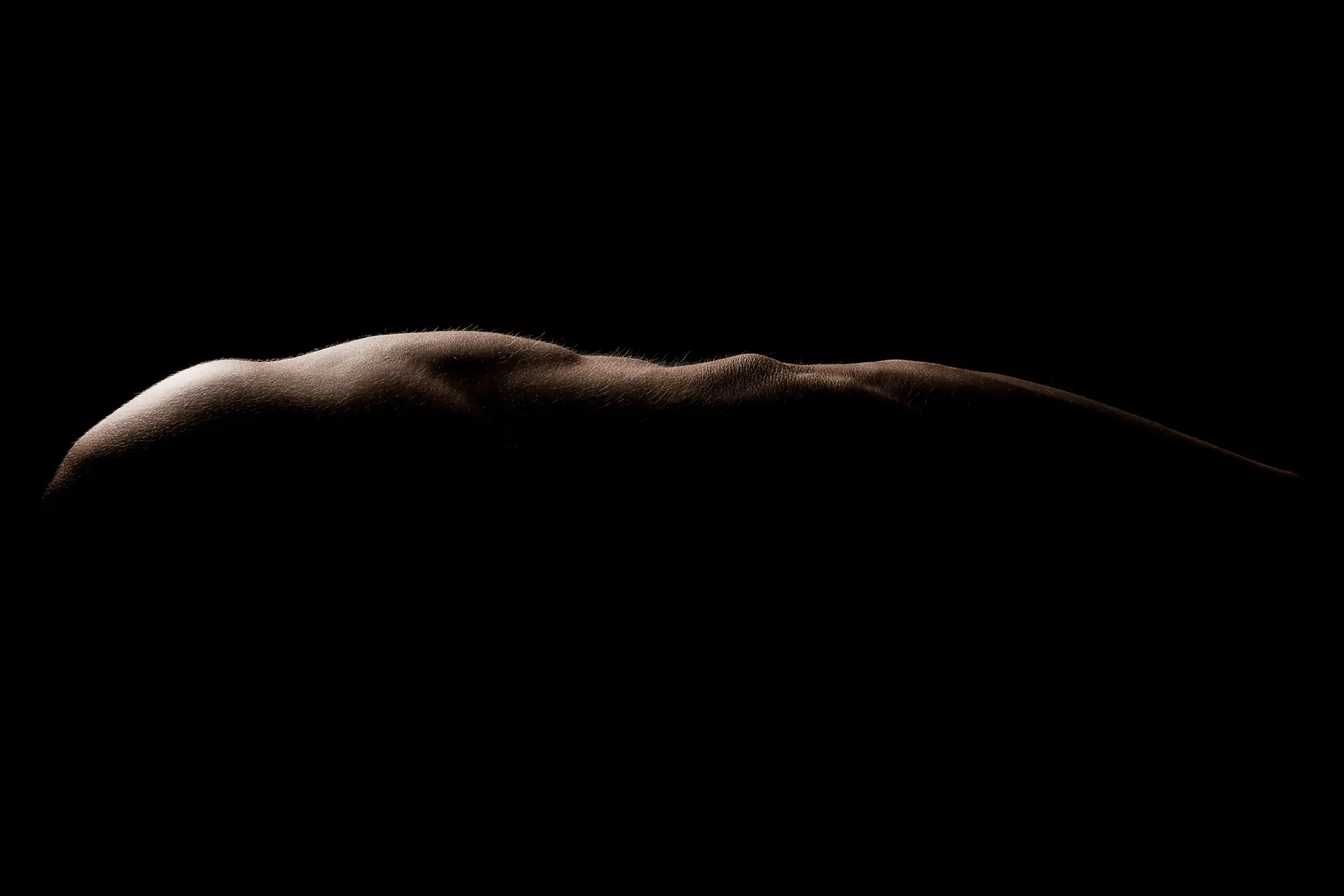 Artistic silhouette of a human back against a black background